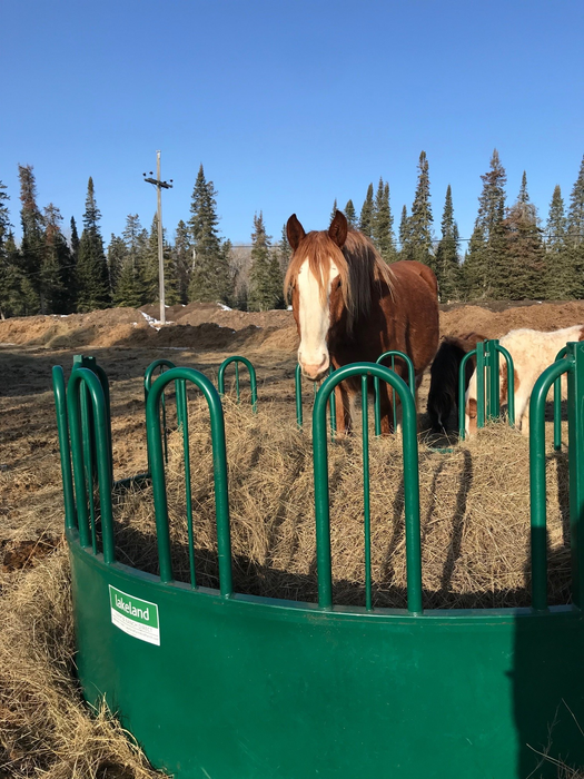 Horse Feeder | Lakeland Heavy Duty Tombstone Round Bale Feeder
