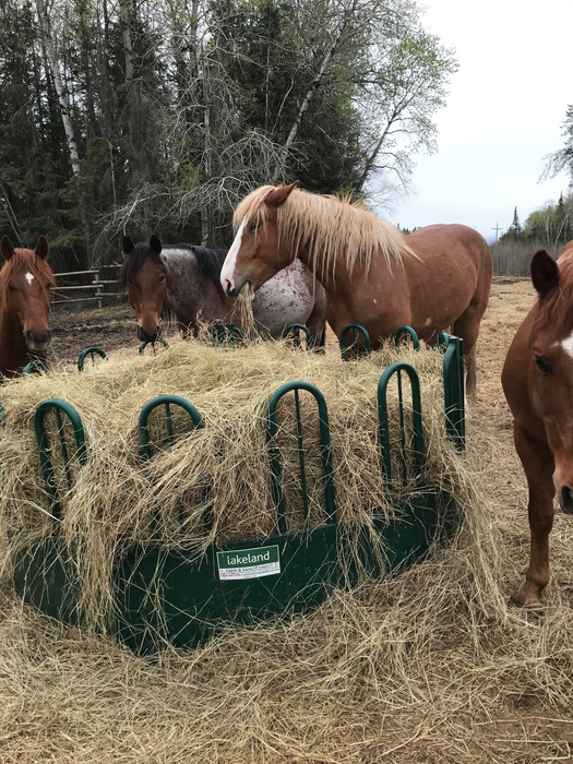 Horse Feeder | Lakeland Heavy Duty Tombstone Round Bale Feeder