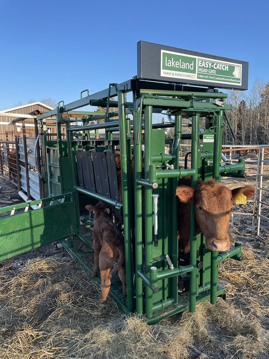 Lakeland Deluxe Cattle Squeeze Chute –  Easy Catch
