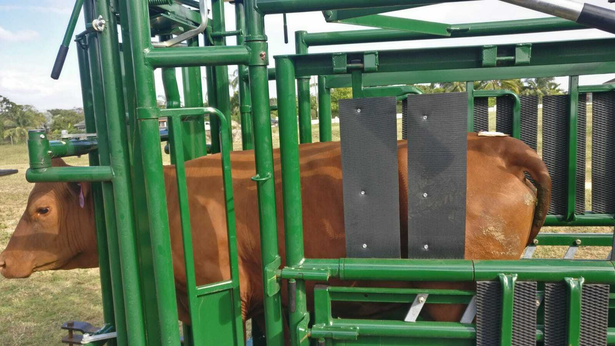 Lakeland Deluxe Cattle Squeeze Chute –  Easy Catch