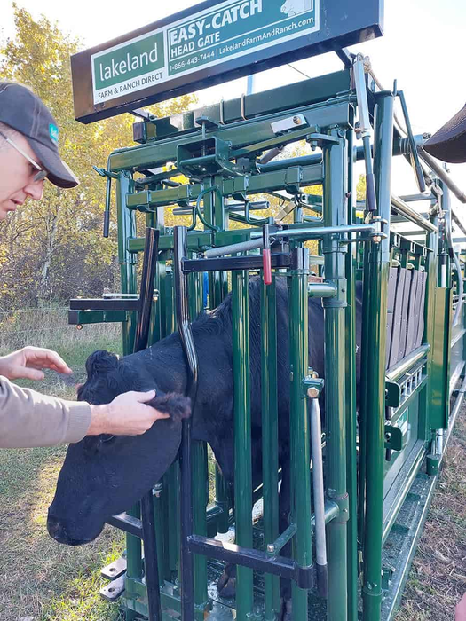 Lakeland Deluxe Cattle Squeeze Chute –  Easy Catch