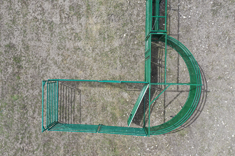 Cattle Handling System | Lakeland C2000