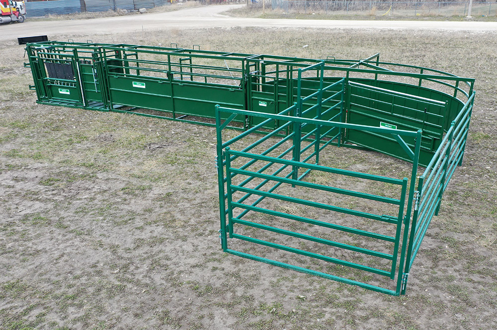 Cattle Handling System | Lakeland C2000