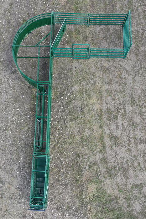 Cattle Handling System | Lakeland C2000