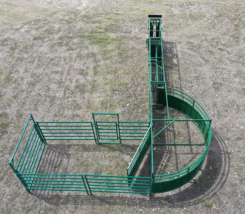 Cattle Handling System | Lakeland C2000