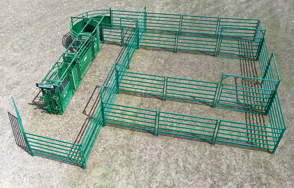 Cattle Handling System | Lakeland C3000