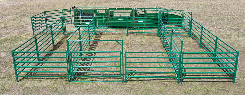 Cattle Handling System | Lakeland C3000