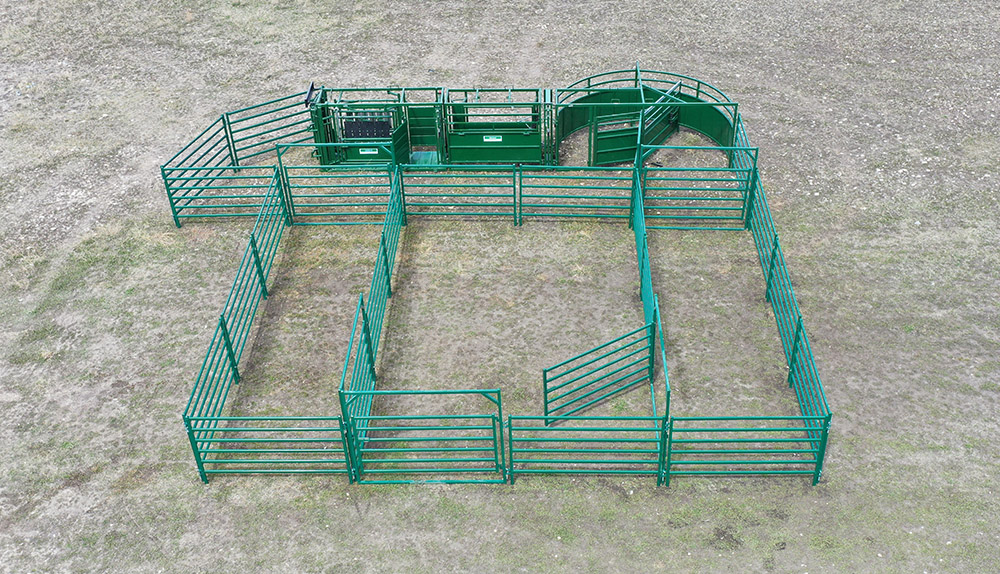 Cattle Handling System | Lakeland C3000