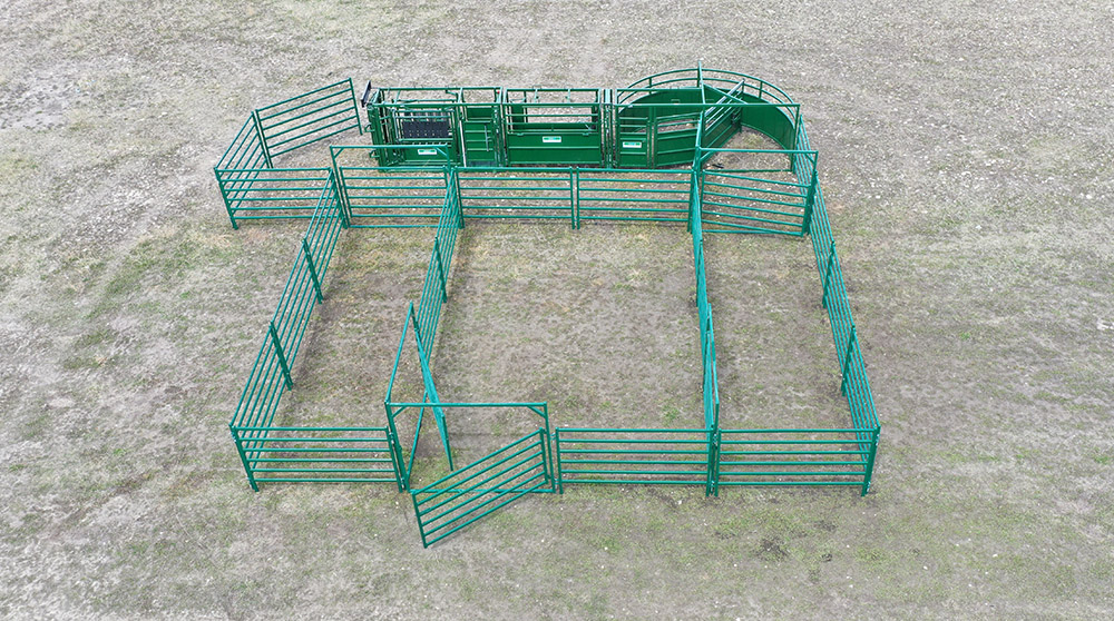 Cattle Handling System | Lakeland C3000