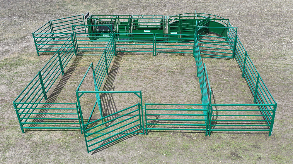 Cattle Handling System | Lakeland C3000
