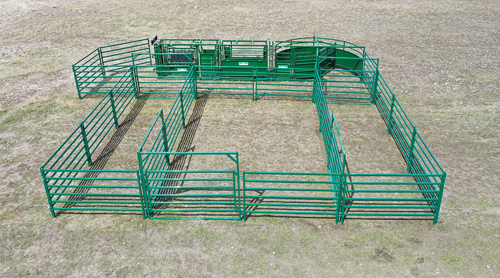 Cattle Handling System | Lakeland C3000