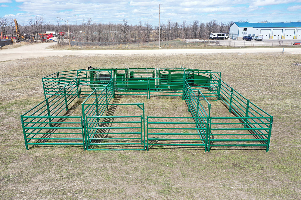 Cattle Handling System | Lakeland C3000