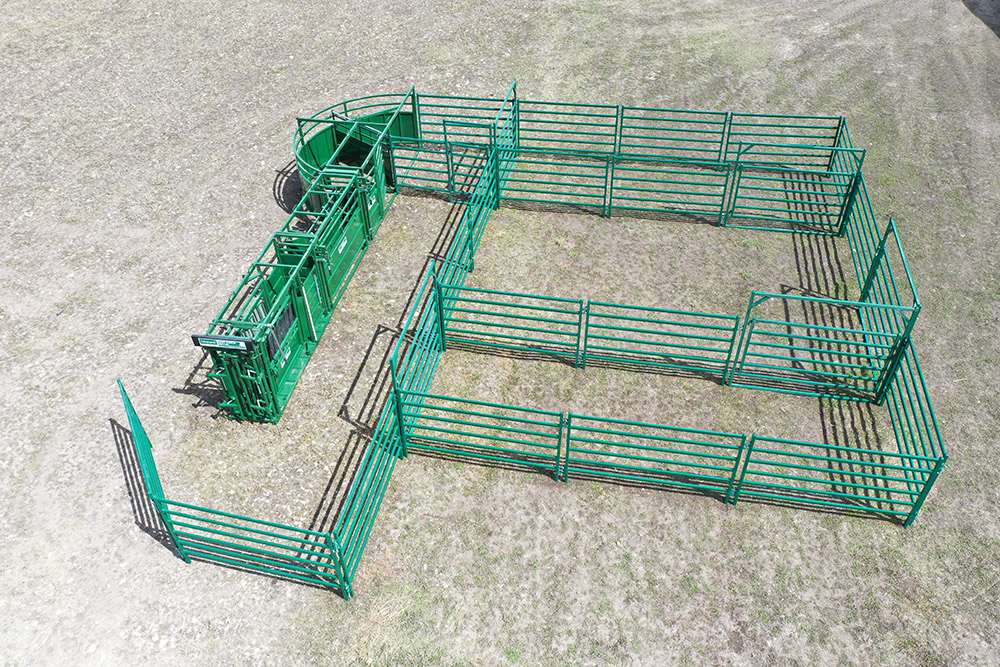 Cattle Handling System | Lakeland C3000