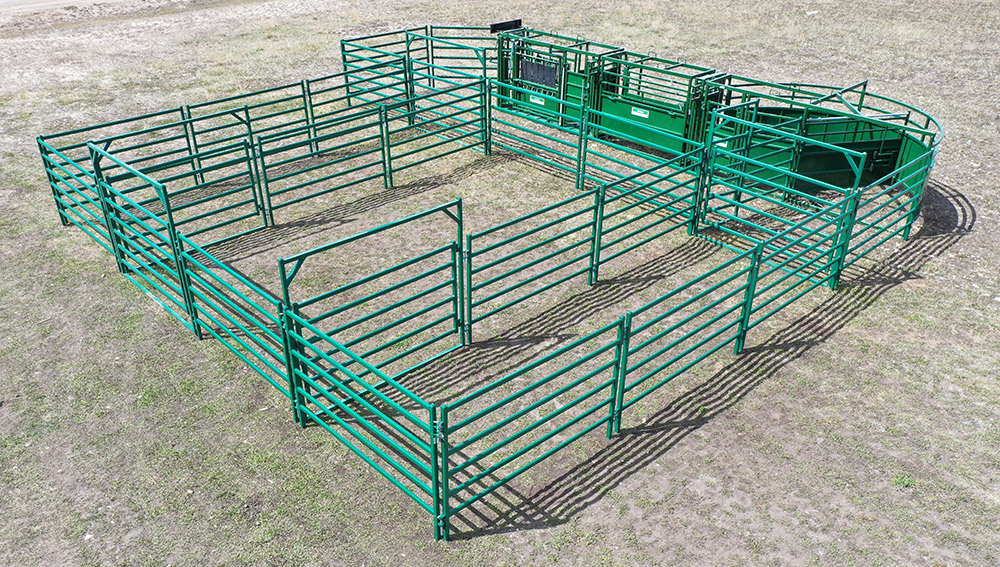 Cattle Handling System | Lakeland C3000