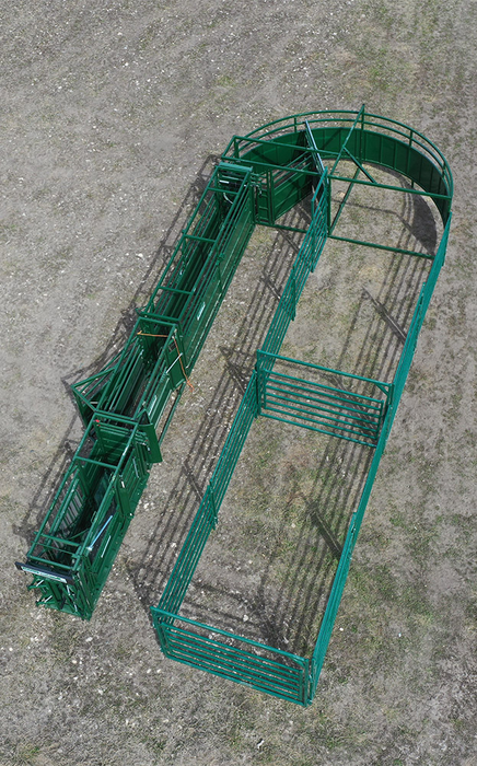 Cattle Handling System | Lakeland C4000