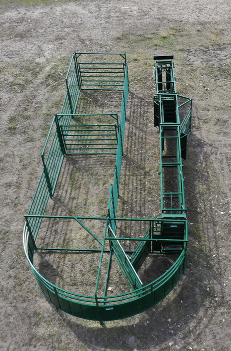 Cattle Handling System | Lakeland C4000