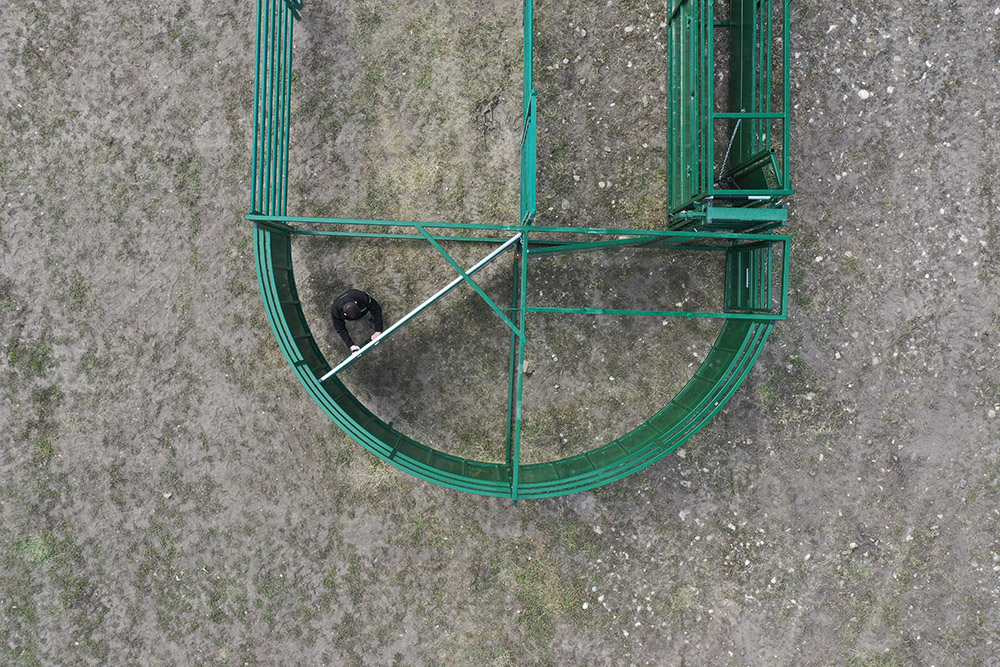 Cattle Handling System | Lakeland C4000