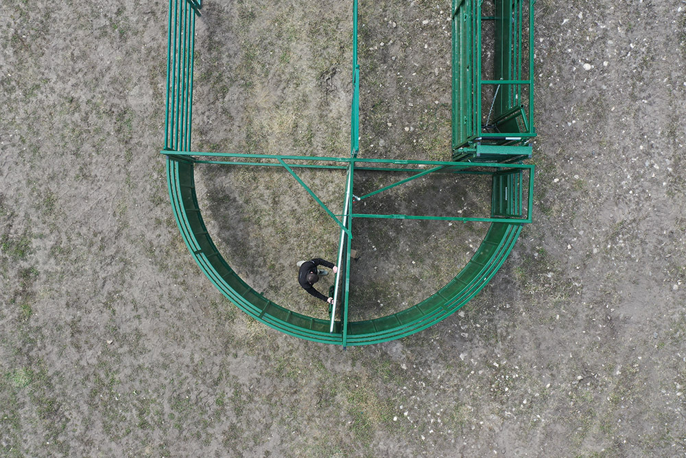 Cattle Handling System | Lakeland C4000