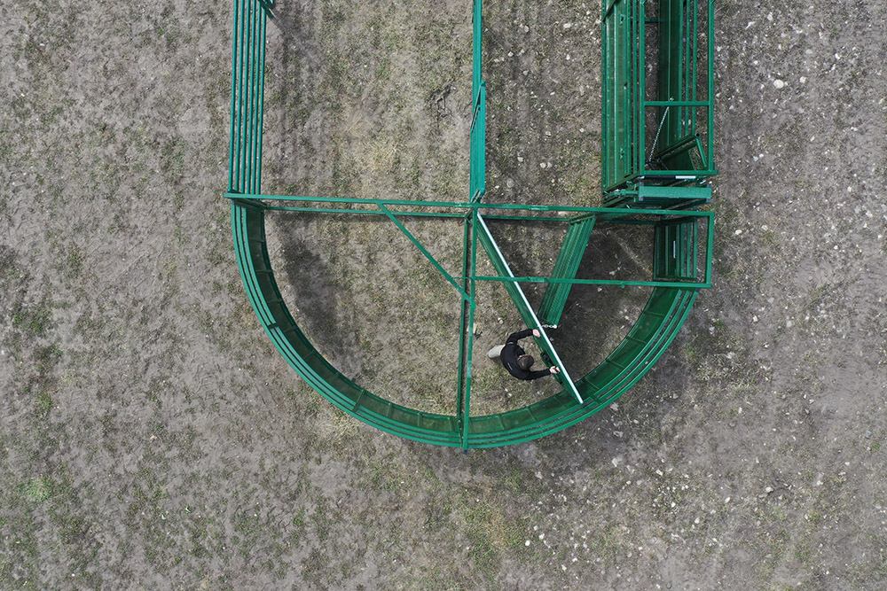 Cattle Handling System | Lakeland C4000