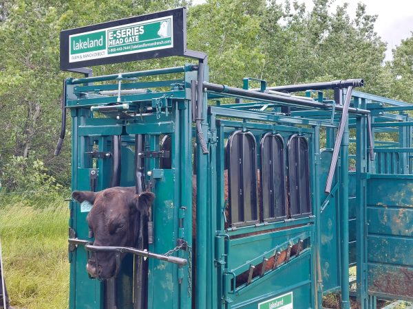 Portable Handling System | Lakeland E Series-P