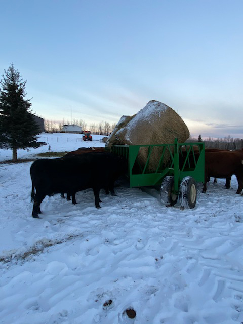 Cattleman’s Choice Feed Wagon | Lakeland