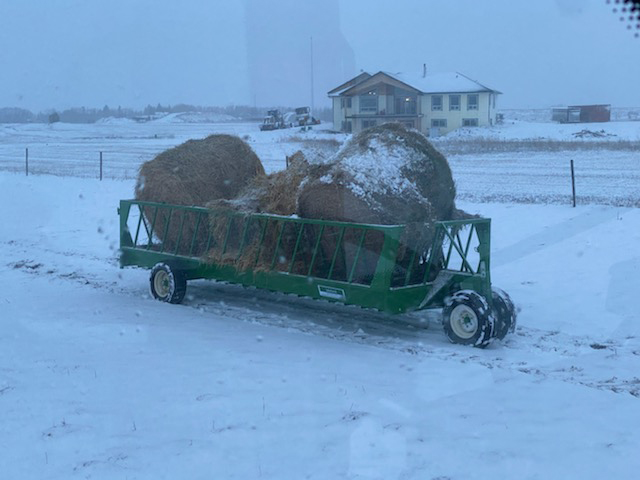 Cattleman’s Choice Feed Wagon | Lakeland