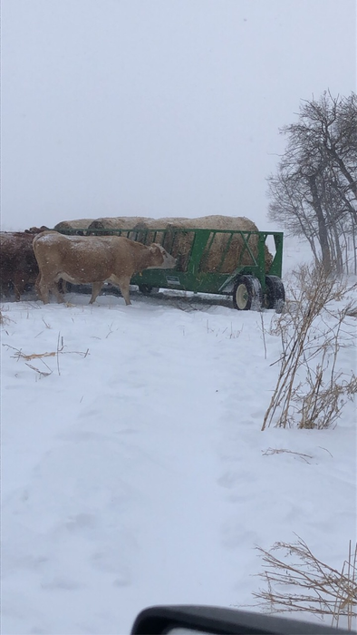 Portable Bunk Feed Wagon | Lakeland