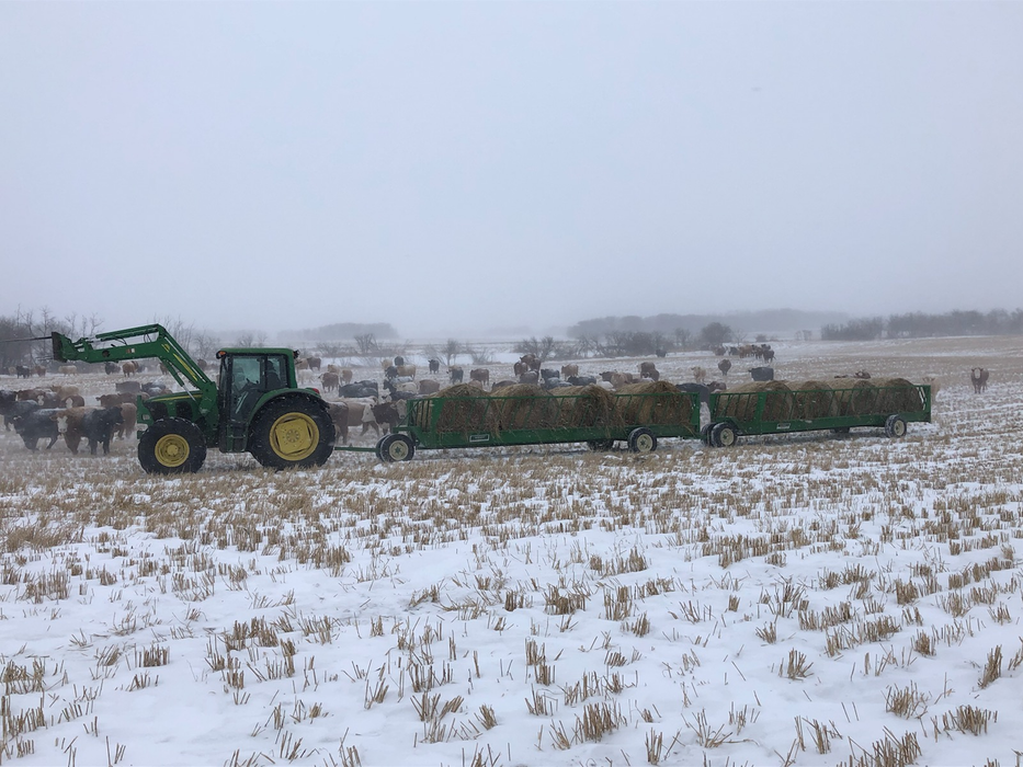 Portable Bunk Feed Wagon | Lakeland