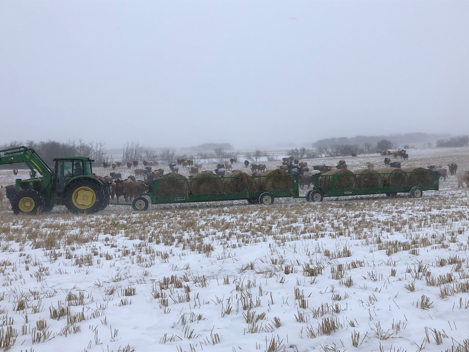 Portable Bunk Feed Wagon | Lakeland