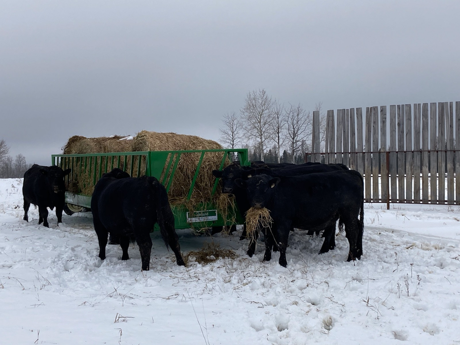 Portable Bunk Feed Wagon | Lakeland