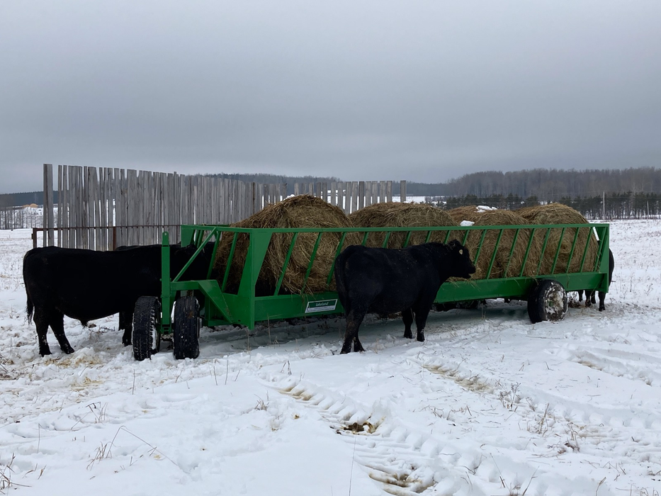 Portable Bunk Feed Wagon | Lakeland