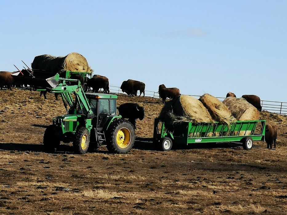 Econo Zero Grazer Feed Wagon | Lakeland
