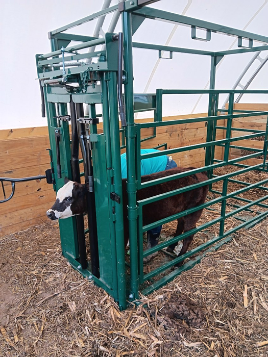 E-Series Half Circle Calving Pen | Lakeland