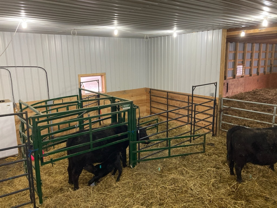 Premium Series – Half Circle Calving Station | Lakeland