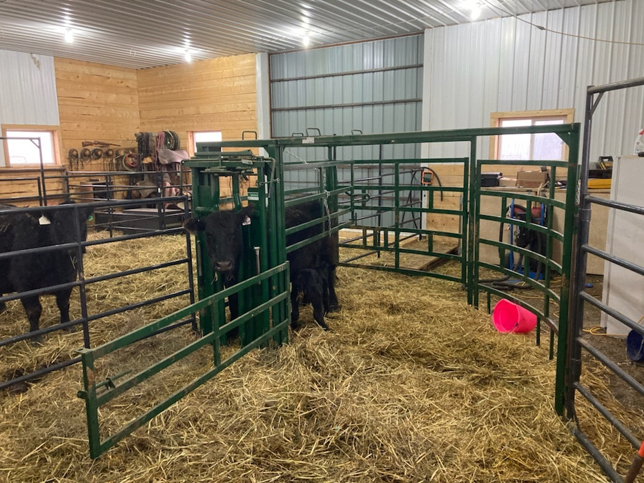 Premium Series – Half Circle Calving Station | Lakeland