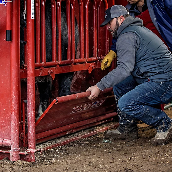 Tarter CattleMaster Series 6 Heavy-Duty Squeeze Chute with Automatic Headgate