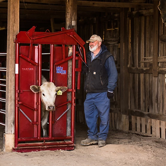Tarter CattleMaster Series 6 Manual Headgate for Cattle Up to 1,400 lb.