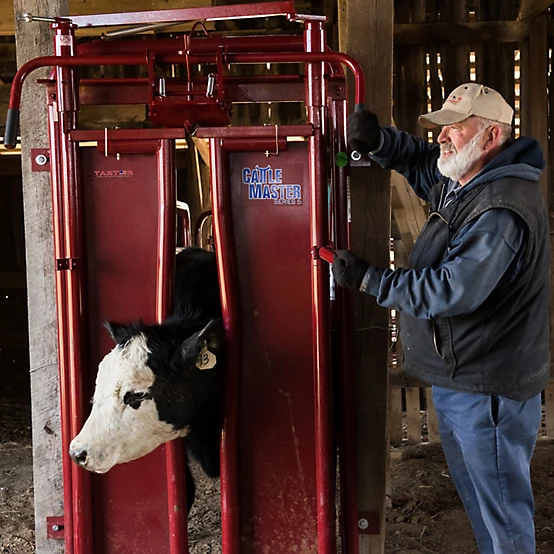 Tarter Series 6 Automatic Headgate for Cattle Up to 1,400 lb.
