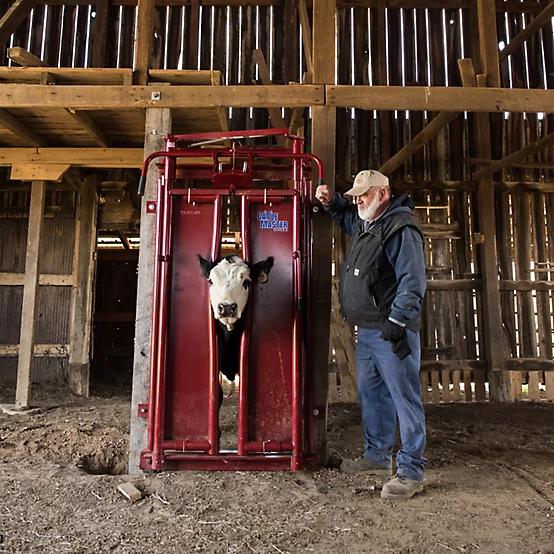 Tarter Series 6 Automatic Headgate for Cattle Up to 1,400 lb.
