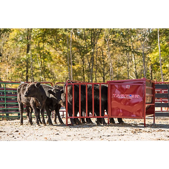 Tarter 650 lb. Calf Creep Feeder, 4 Calf Stall Openings, Red