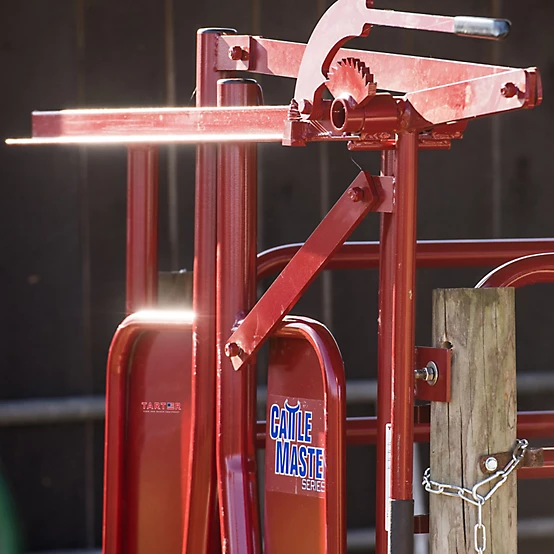 Tarter Series 3 Manual Headgate for Cattle Up to 1,200 lb., 8 in. x 60-1/2 x 76 37-1/2 in. Mounting Bolt Width