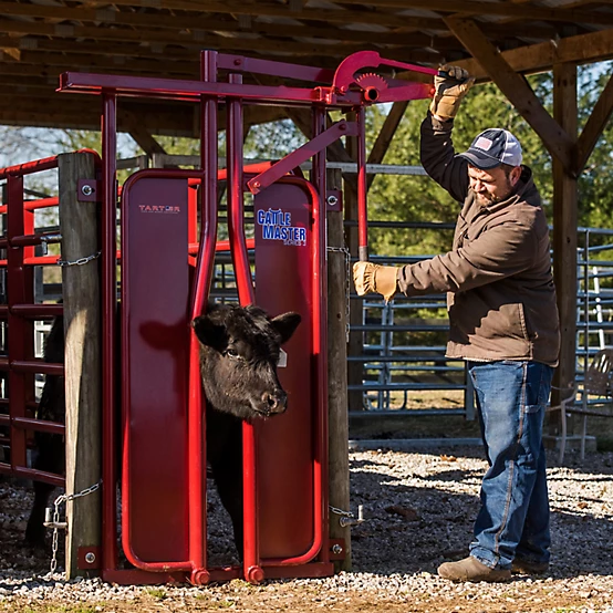 Tarter Series 3 Manual Headgate for Cattle Up to 1,200 lb., 8 in. x 60-1/2 x 76 37-1/2 in. Mounting Bolt Width