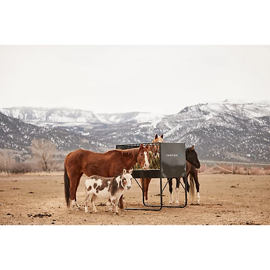 Tarter 6 Flake Equine Elevated Hay and Grain Feeder, 6 ft.