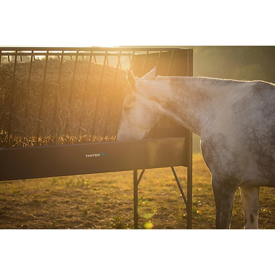 Tarter 6 Flake Equine Elevated Hay and Grain Feeder, 6 ft.