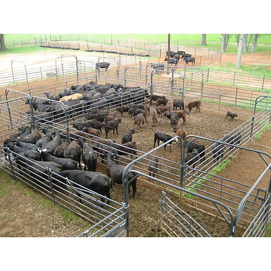 Priefert 10 ft. x 7 ft. Tall Premier Free-Swinging Bow Gate
