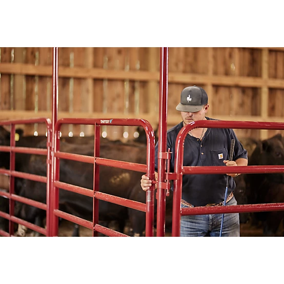 Tarter 6 ft. x 62 in. Walk-Thru Arch Gate, Extra HD, 2 in. , Red