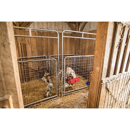 Tarter 5 ft. x 7 ft. Walk Through Pen Kid Goat Wire Panel