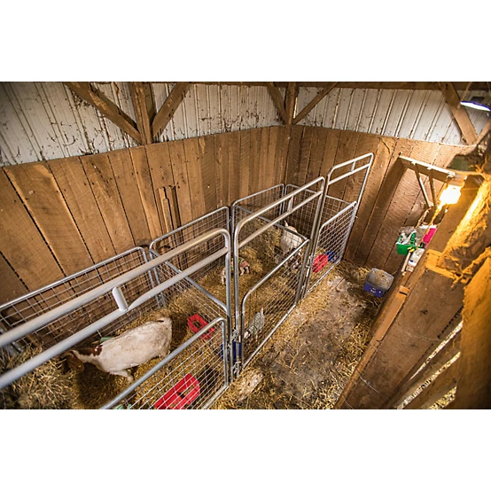 Tarter 5 ft. x 7 ft. Walk Through Pen Kid Goat Wire Panel