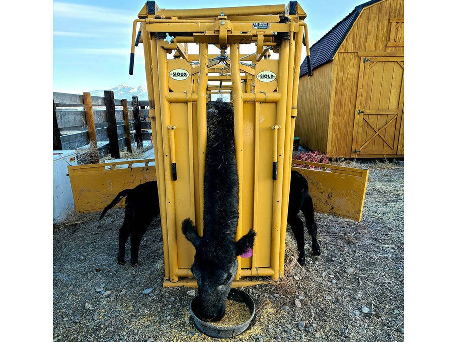 Cattle Chute with Auto Head Gate by Sioux Steel