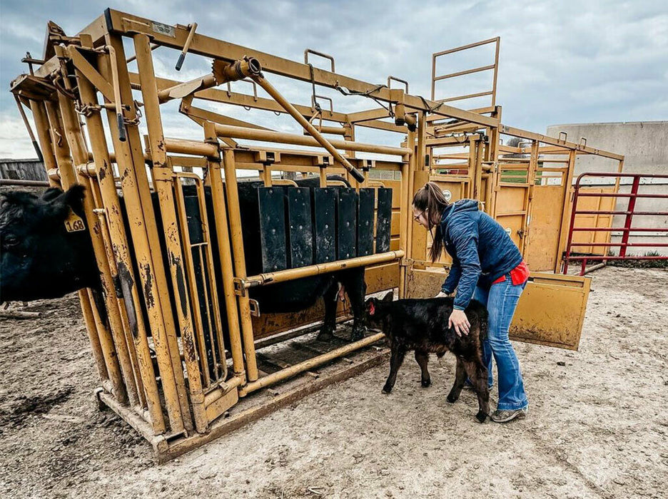 Cattle Chute with Auto Head Gate by Sioux Steel